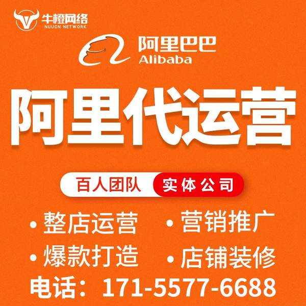 眉山电商代运营
