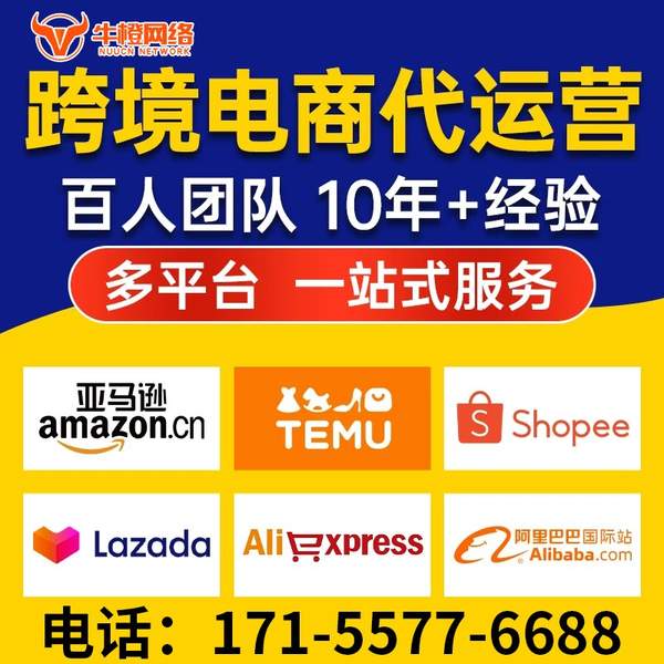 眉山电商代运营