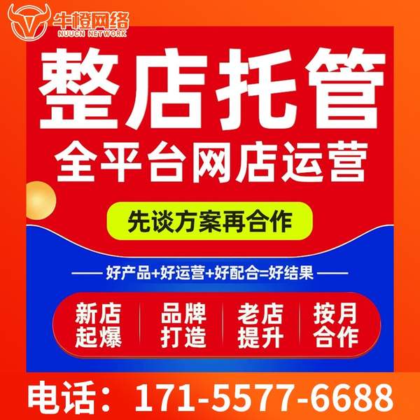 眉山电商代运营