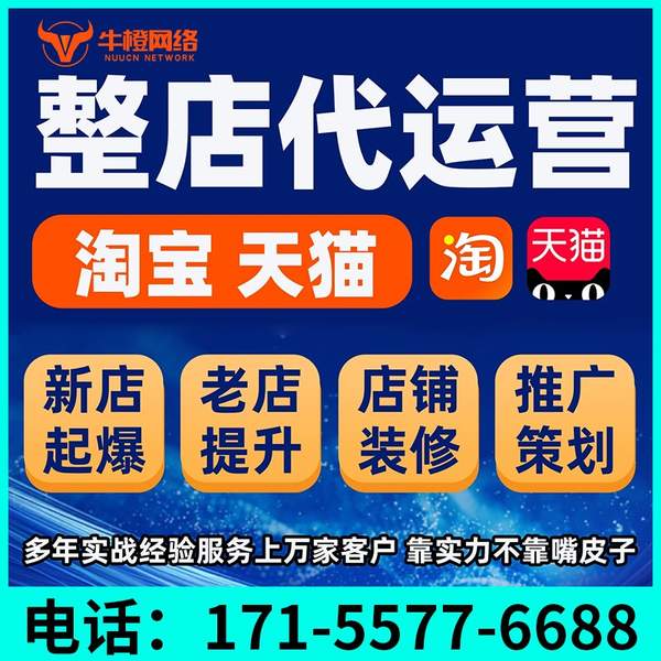 眉山电商代运营