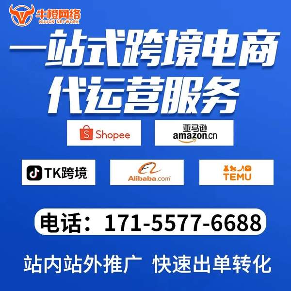 眉山电商代运营