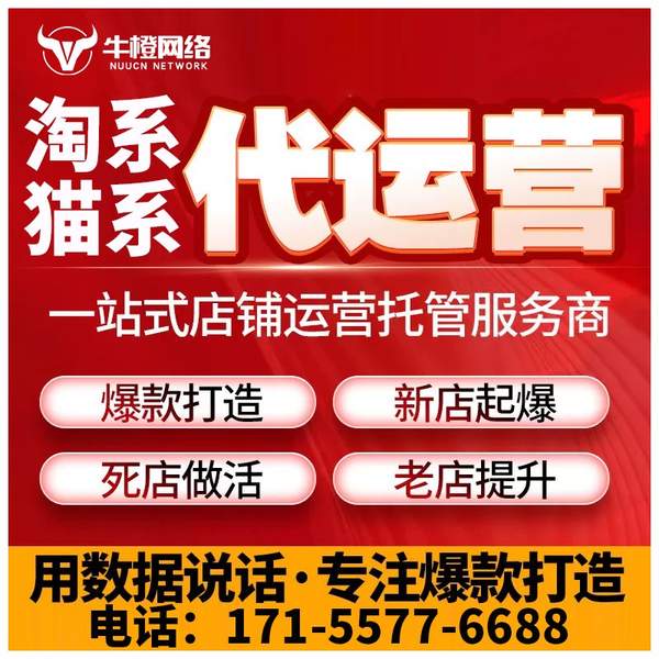 眉山电商代运营